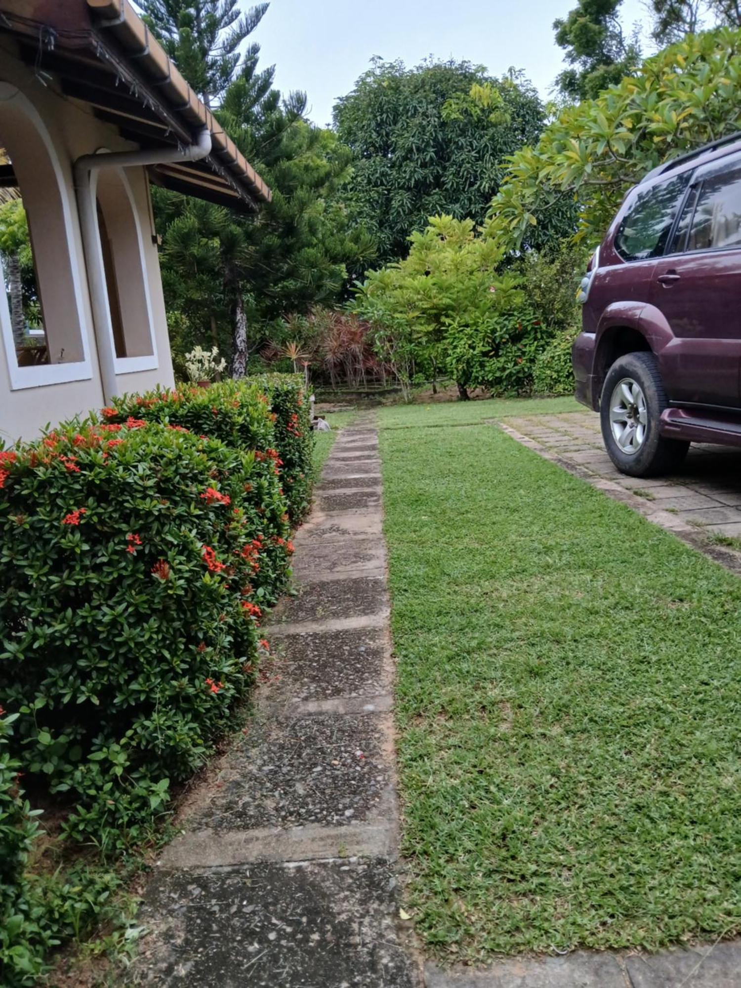 Fuchs Villas ネゴンボ エクステリア 写真